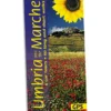 Sunflower Umbria & The Marches Car Tours
