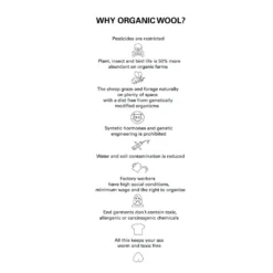 Pantie Wool Truse Dame 6 Pantie Wool Truse Dame -Chillout Butikk Northern Playground Why Organic Wool info